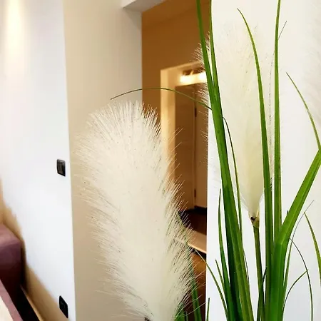 Luxury Aurora - Cod 0409 Appartement